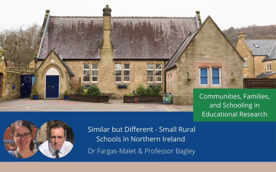 Similar but Different Small Rural Schools in Northern Ireland