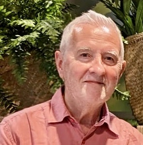 Professor Emeritus Brian Hudson